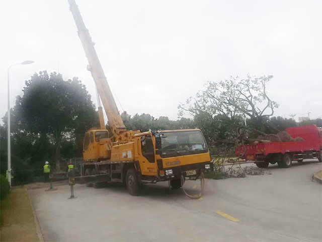 綠點(diǎn)（蘇州）科技有限公司 -- 婁南廠